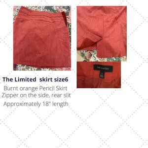 The Limited skirt Size 6